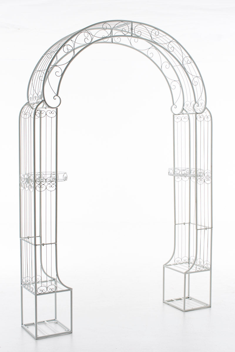 Rosenbogen Alessia - homemem39