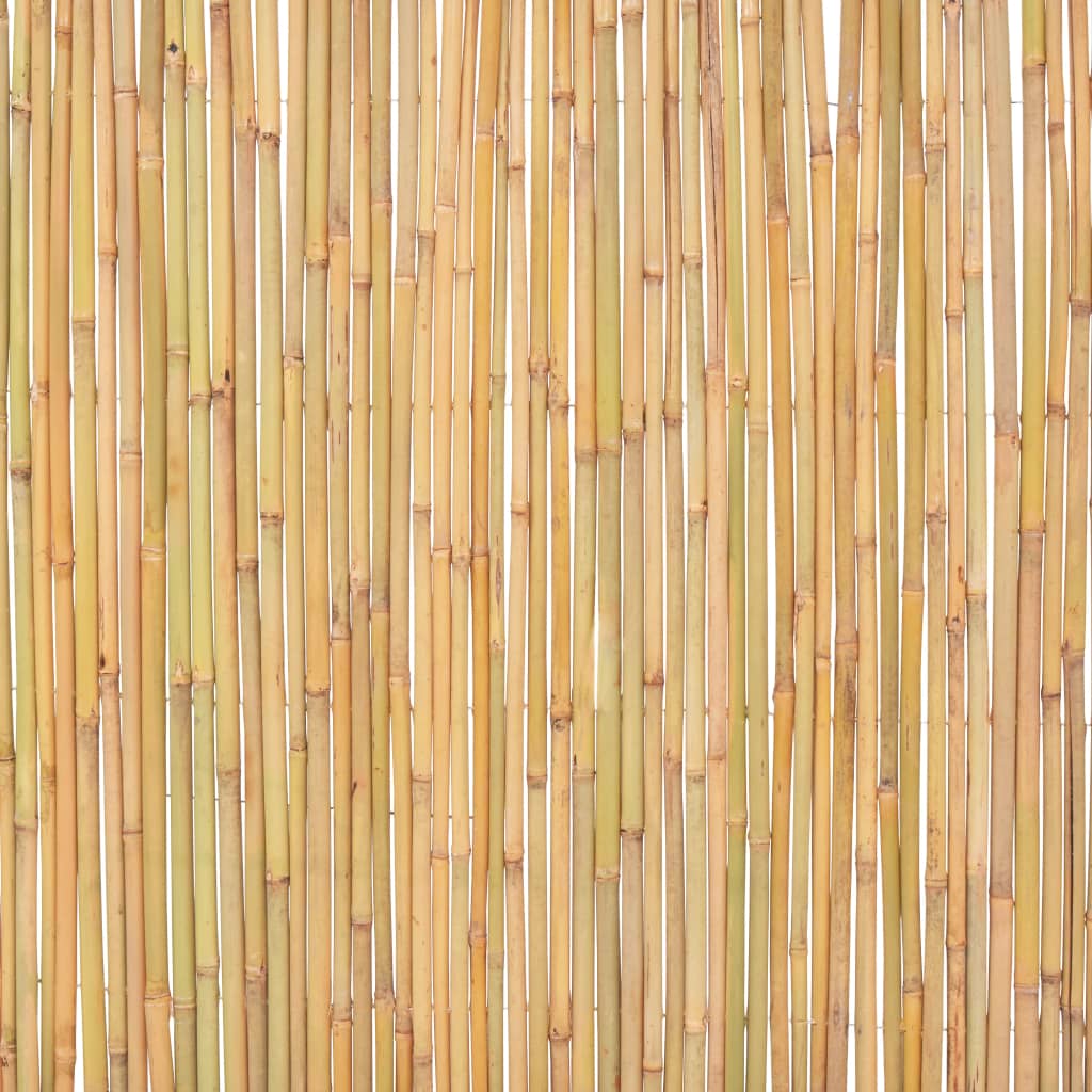 Recinzione in Bambù 300x100 cm