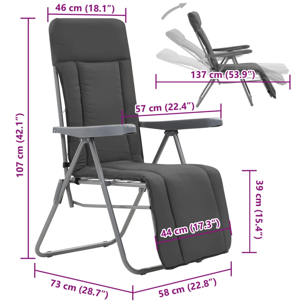 Sedie da Giardino Pieghevoli con Cuscino 2 pz Grigio