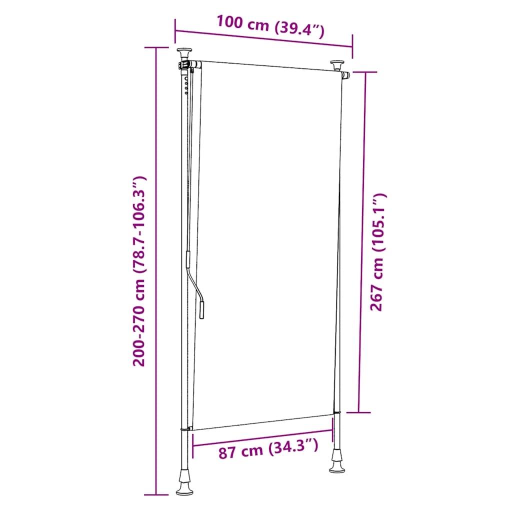 Tenda a Rullo per Esterni 100x270 cm Antracite | homemem39