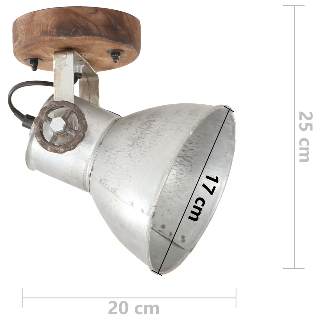 Lampade da Parete/Soffitto 2 pz Industriale Argento 20x25cm E27 | homemem39