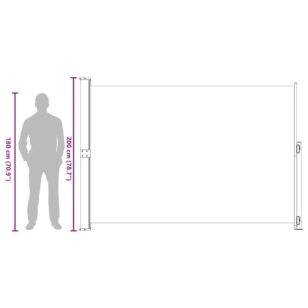 Tenda Laterale Retrattile per Patio 200x300 cm Nero | homemem39