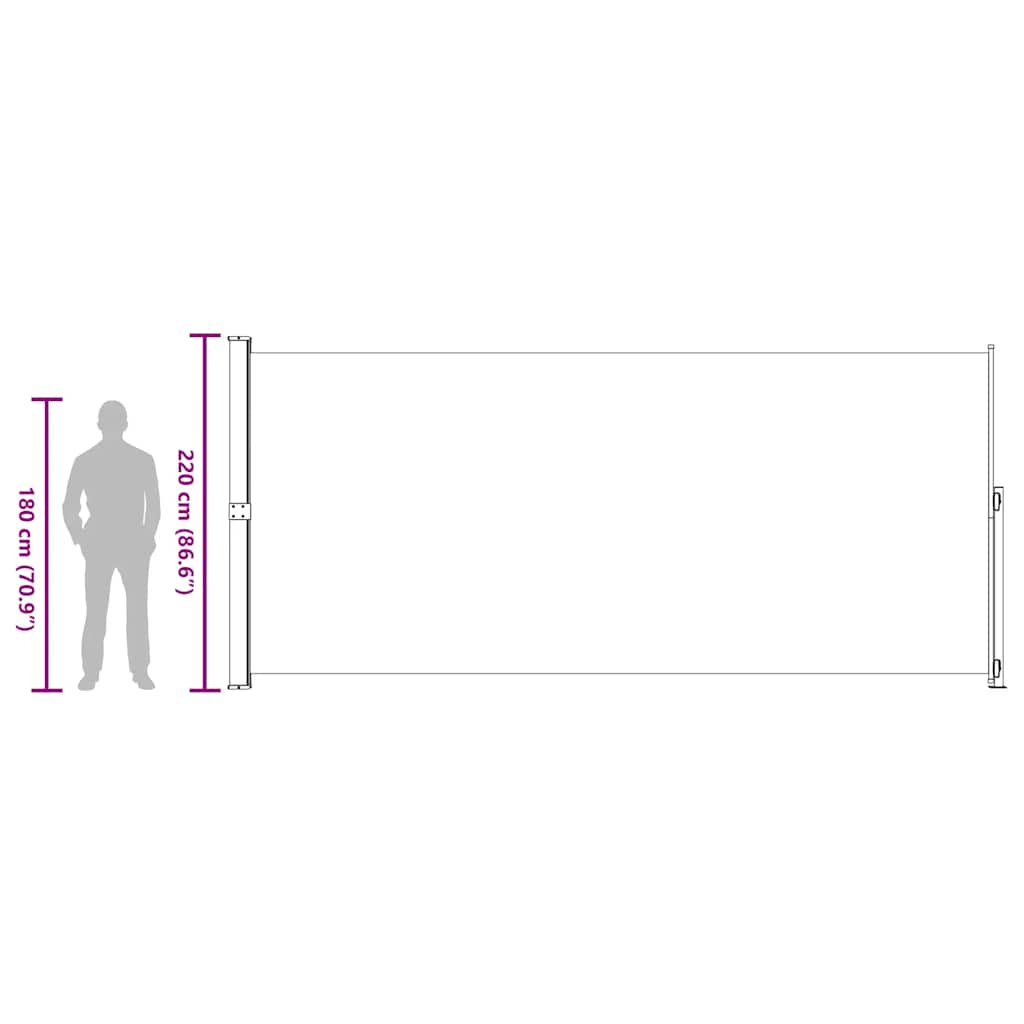 Tenda Laterale Retrattile per Patio 220x500 cm Nera | homemem39