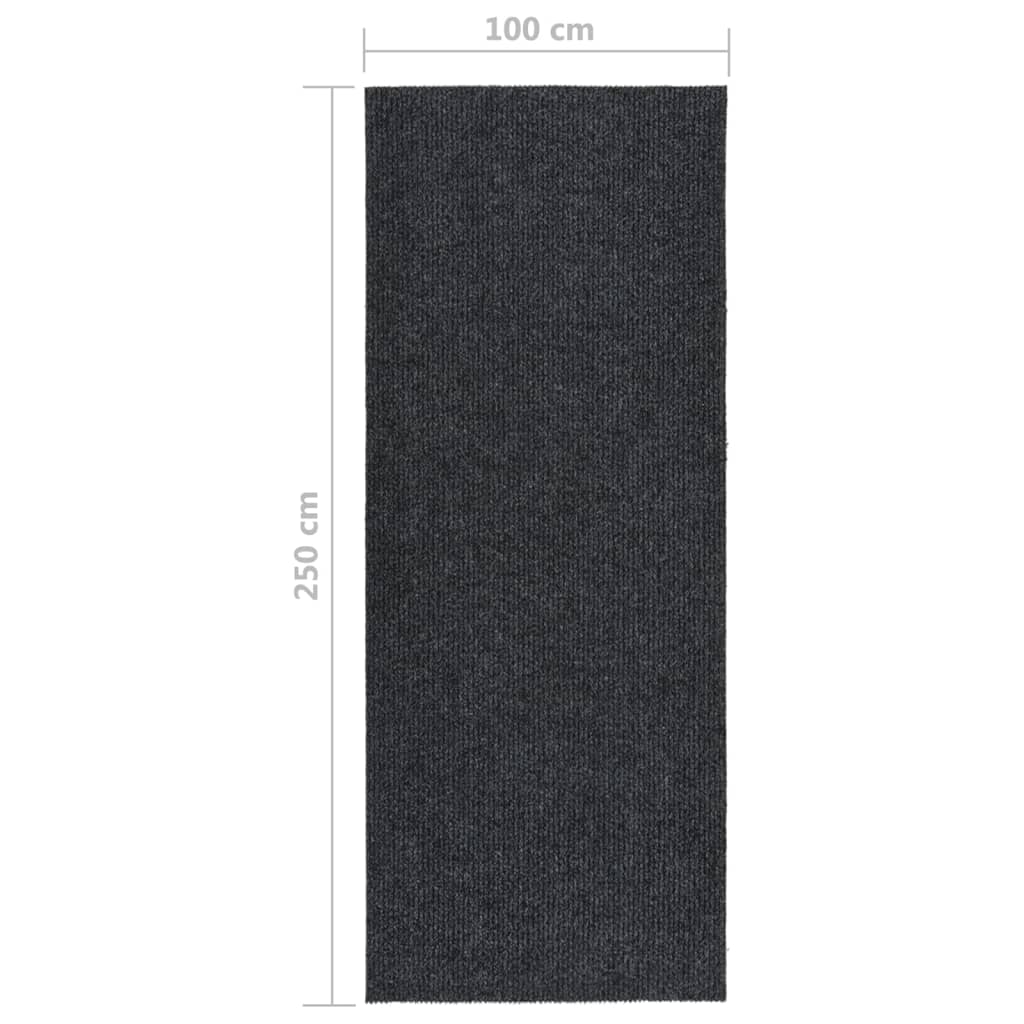 Tappeto Corsia Acchiappa Polvere 100x250 cm Antracite - homemem39
