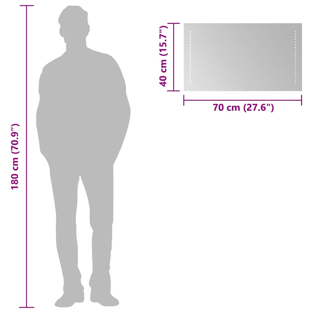 Specchio da Bagno con Luci LED 70x40 cm