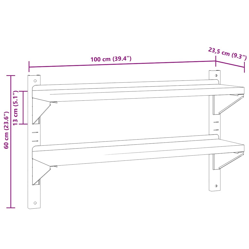 Mensola a Muro 2 Ripiani 100x23,5x60cm Argento in Acciaio Inox
