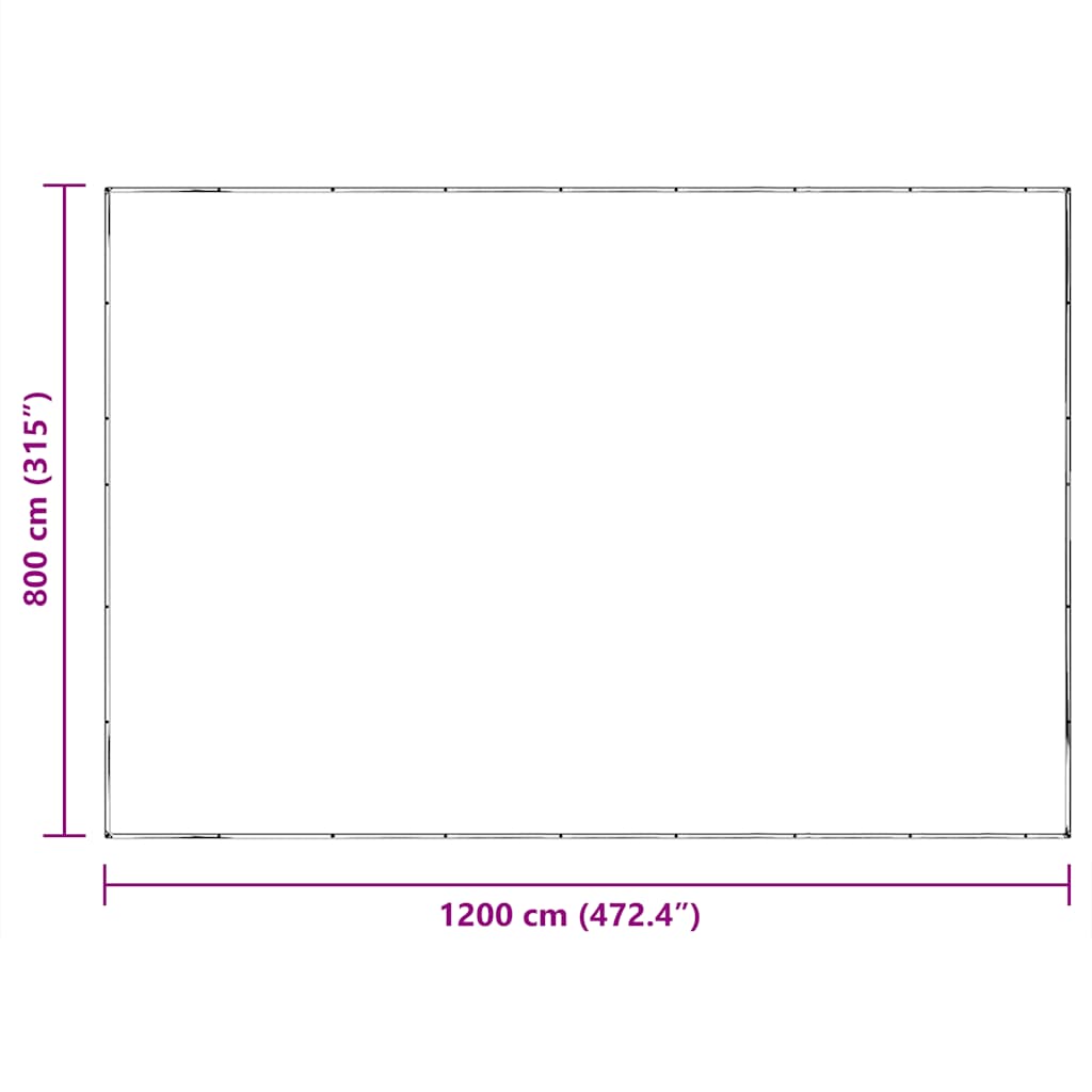 Telone Trasparente con Occhielli 8x12 m in Polietilene | homemem39