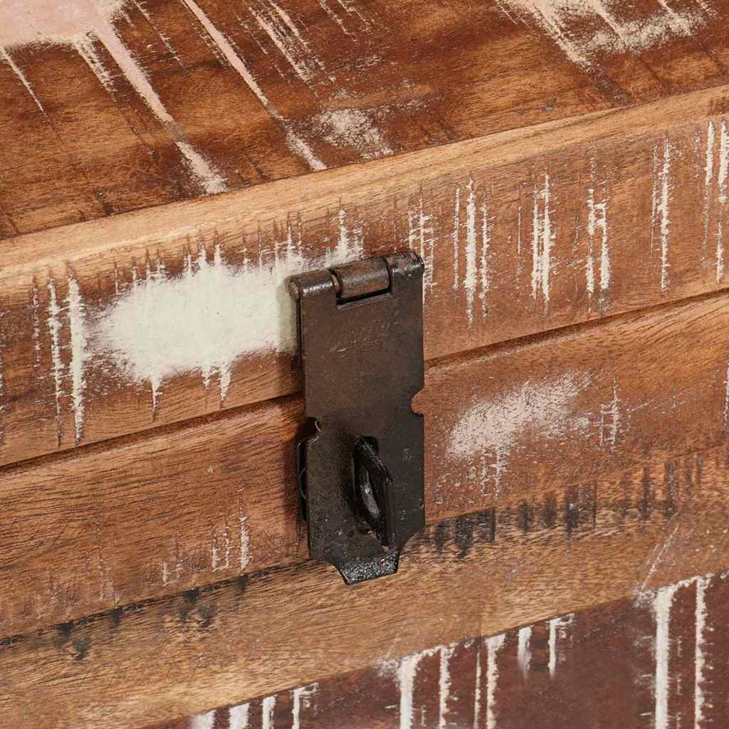 Scatola di Stoccaggio con porta Marrone Legno di mango massello