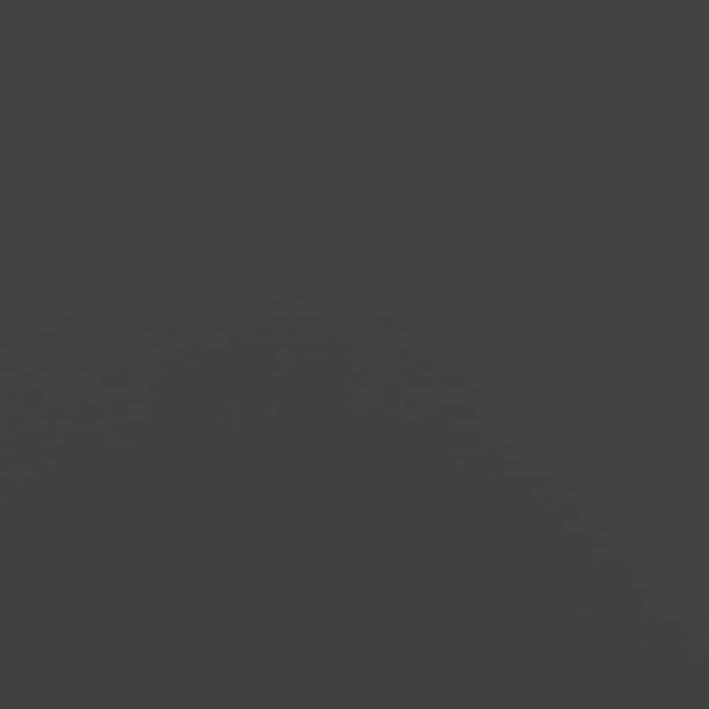 Rastrelliera per Legna da Ardere Nera 60x25x100 cm - homemem39