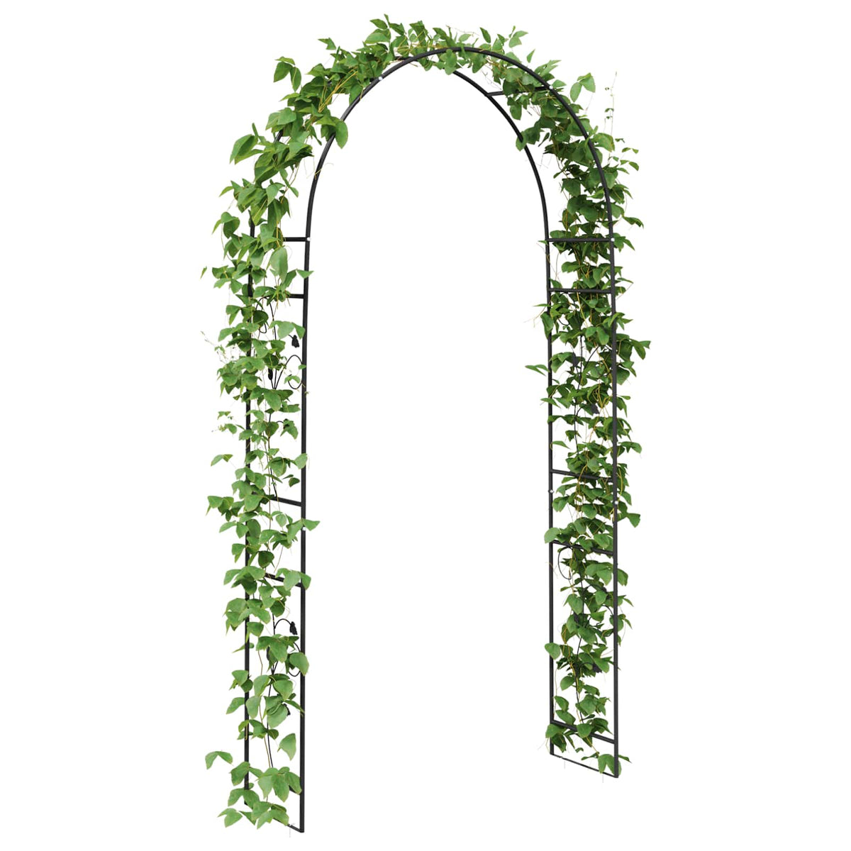 Arco da Giardino Floreale Nero 115 x 37 x 231 cm | homemem39