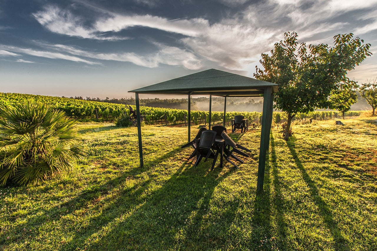 Baldacchini e gazebo