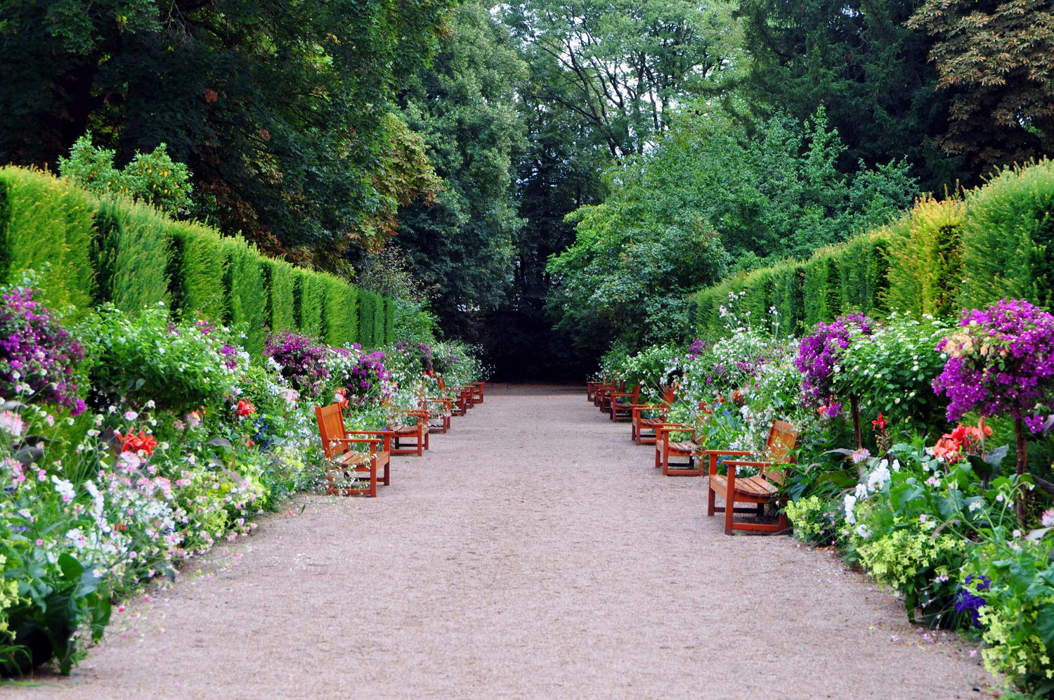 Panchine da giardino