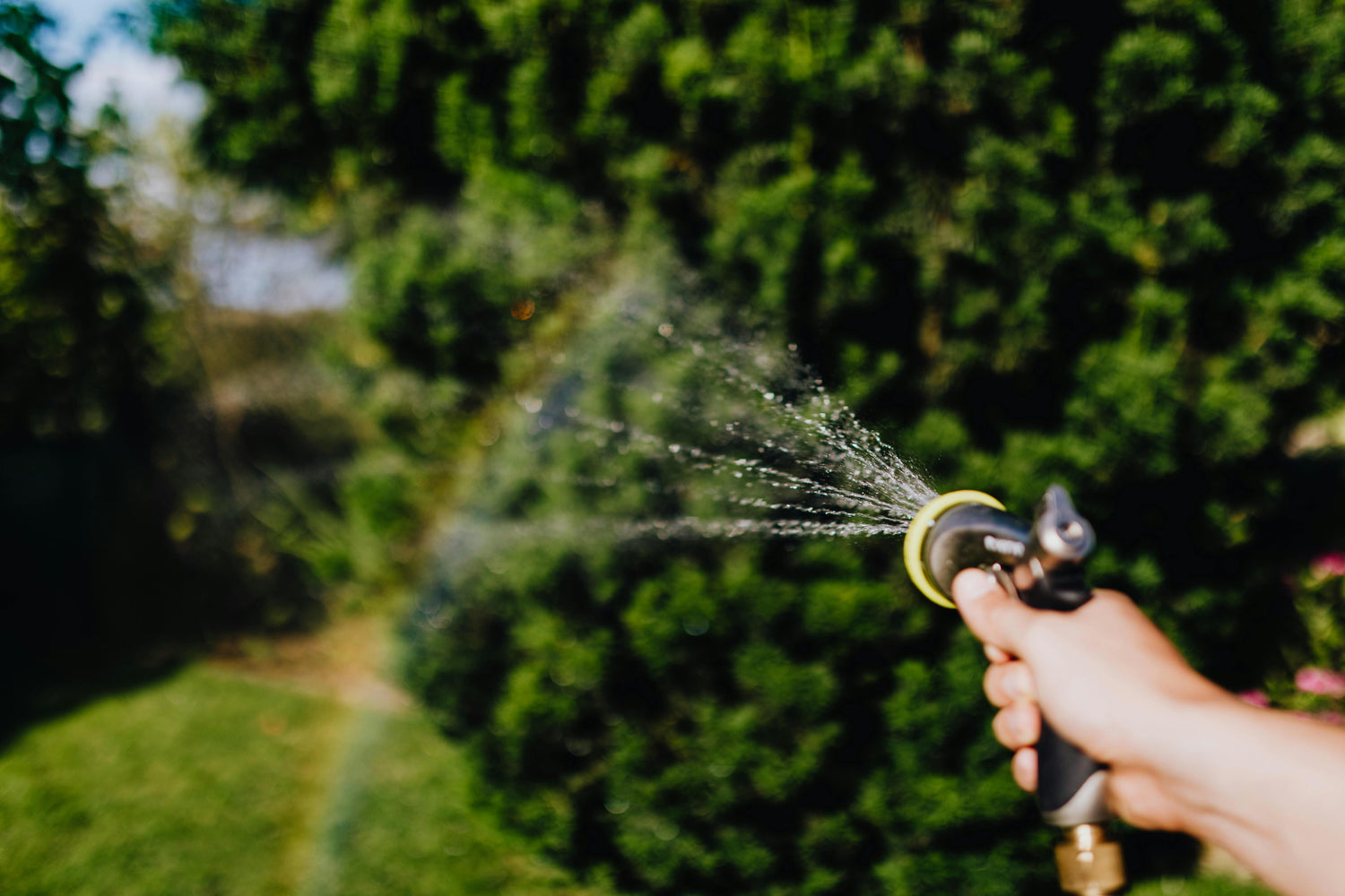 Pompe per irrigazione e irrigatori a pioggia e pompe ausiliarie