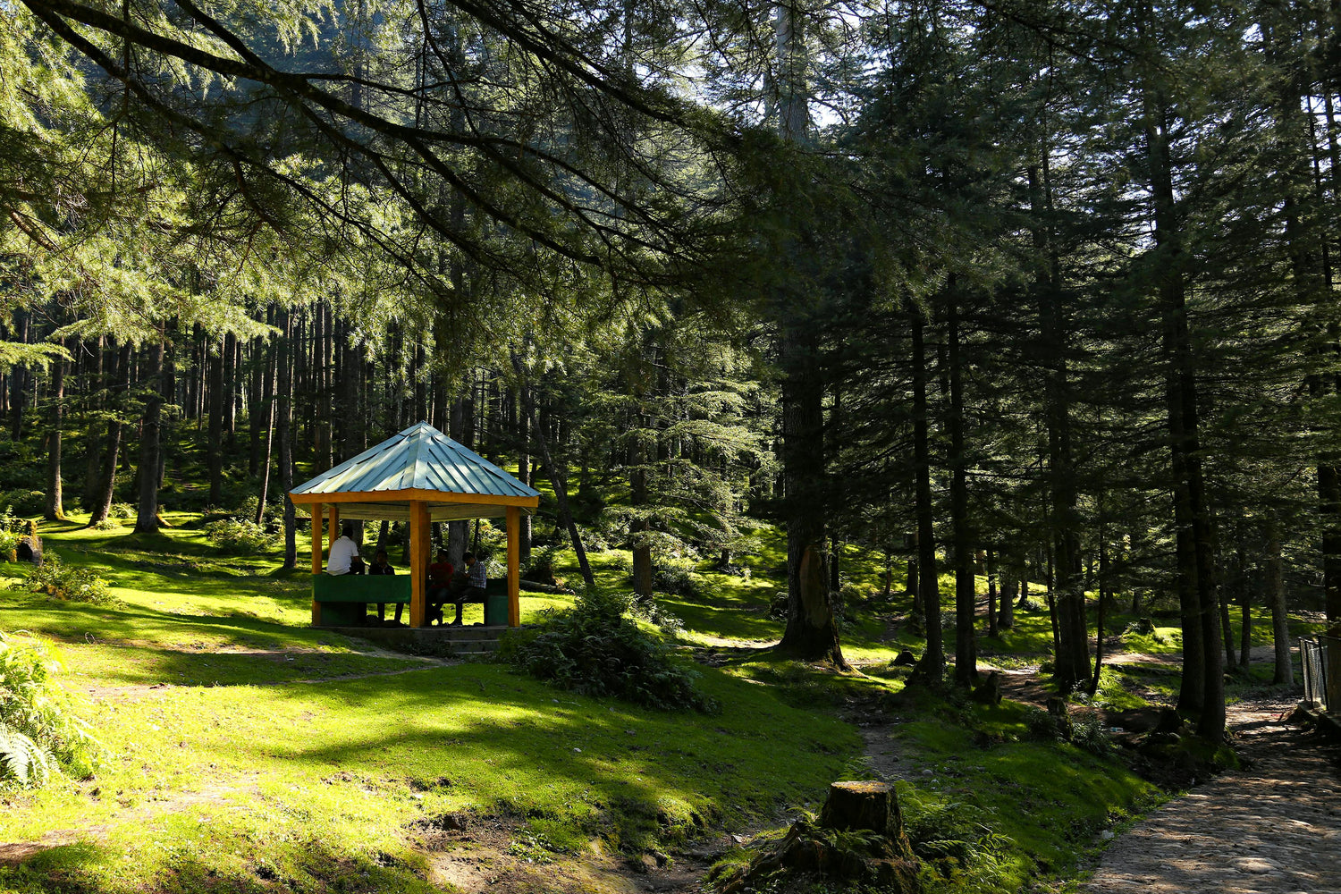 Accessori per baldacchini e gazebo