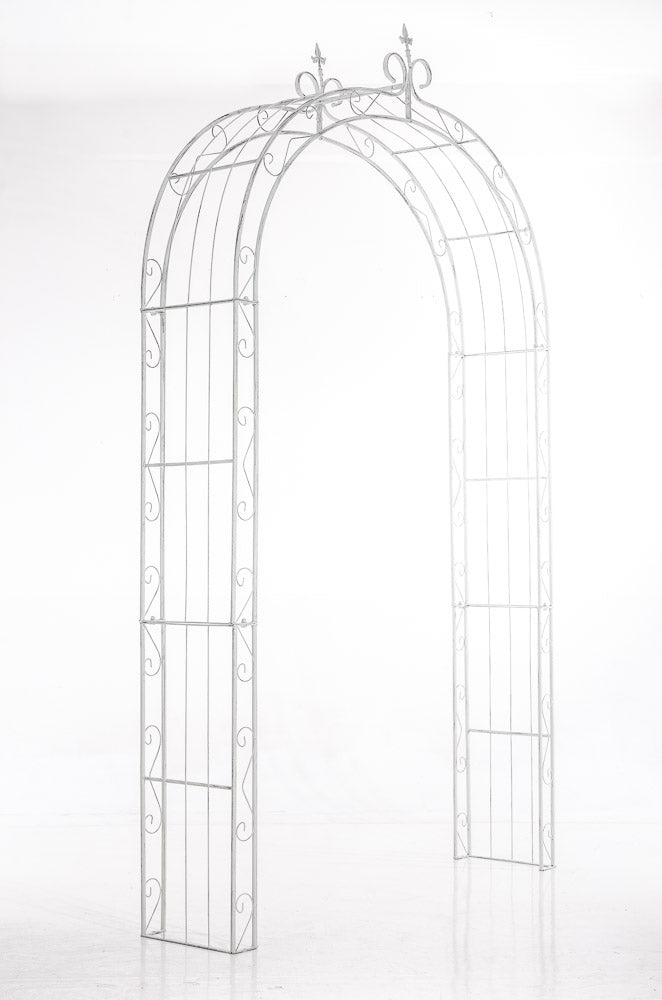 Rosenbogen Sun - homemem39