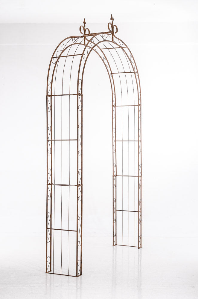 Rosenbogen Sun - homemem39