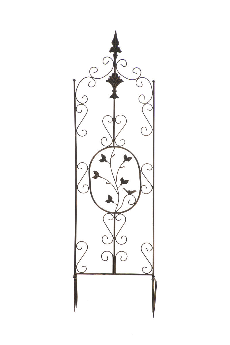 Pflanzen Rankgitter Burgus, 120 x 35 cm | homemem39