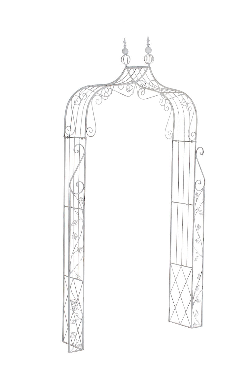 Rosenbogen Aurora - homemem39