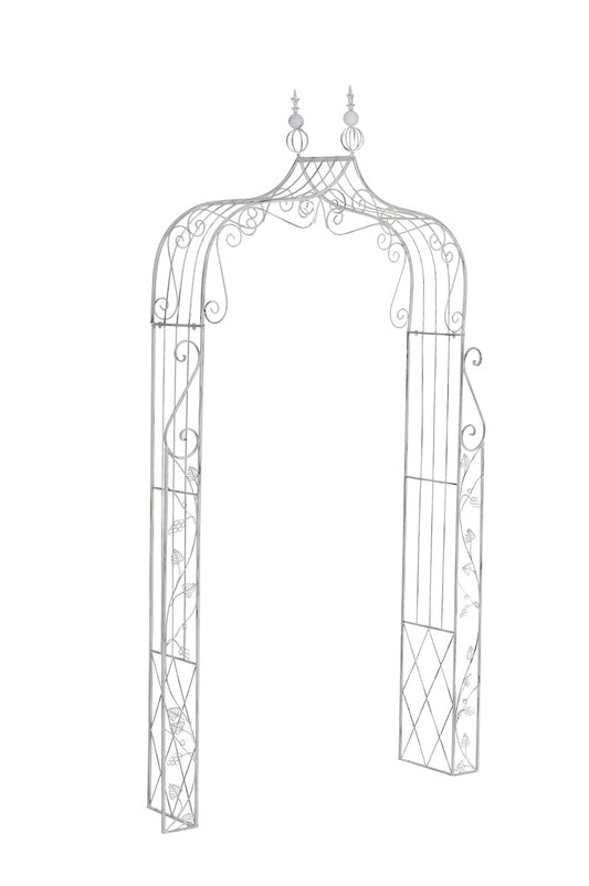 Rosenbogen Aurora - homemem39