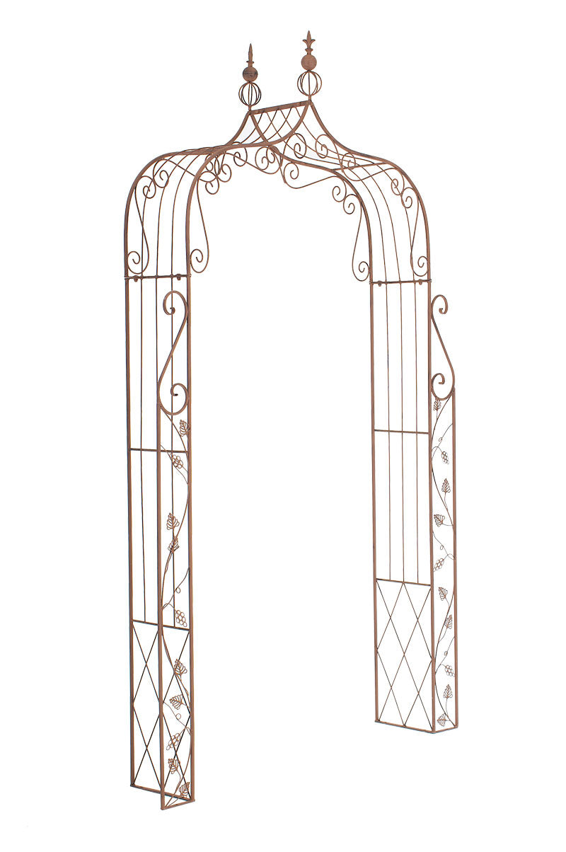 Rosenbogen Aurora - homemem39