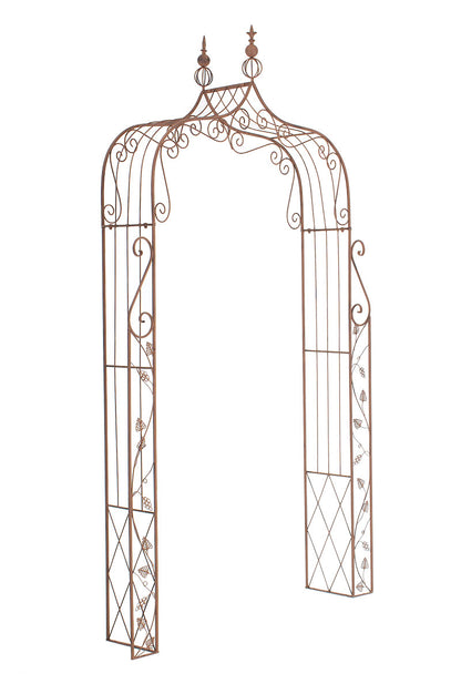 Rosenbogen Aurora - homemem39