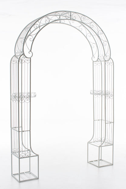 Rosenbogen Alessia - homemem39