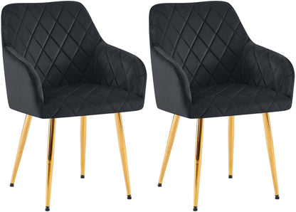 2er Set Esszimmerstühle Monett Samt - homemem39