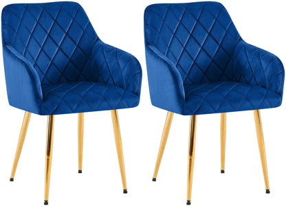 2er Set Esszimmerstühle Monett Samt - homemem39