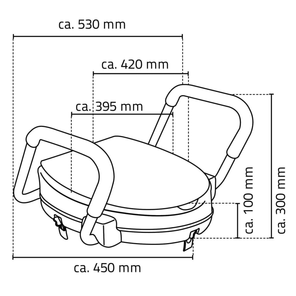 RIDDER Tavoletta WC con Maniglione di Sicurezza Bianco 150 kg A0072001