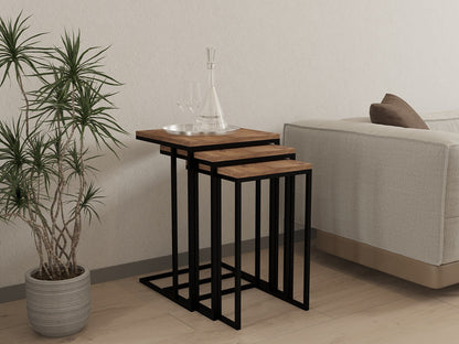 Nesting Table (3 Pieces) | homemem39