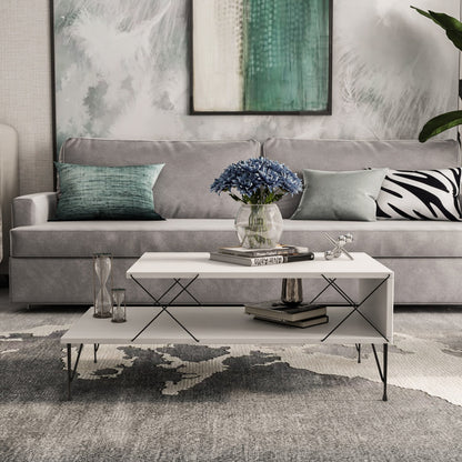 Coffee Table | homemem39
