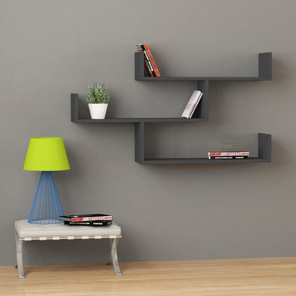 Wall Shelf | homemem39