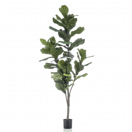 Emerald Pianta di Ficus Lyrata Artificiale 160 cm - homemem39