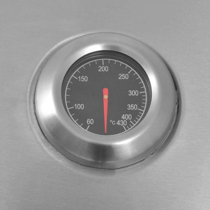 Griglia a Gas con Bruciatore Argento Acciaio con Tubo Metallico | homemem39