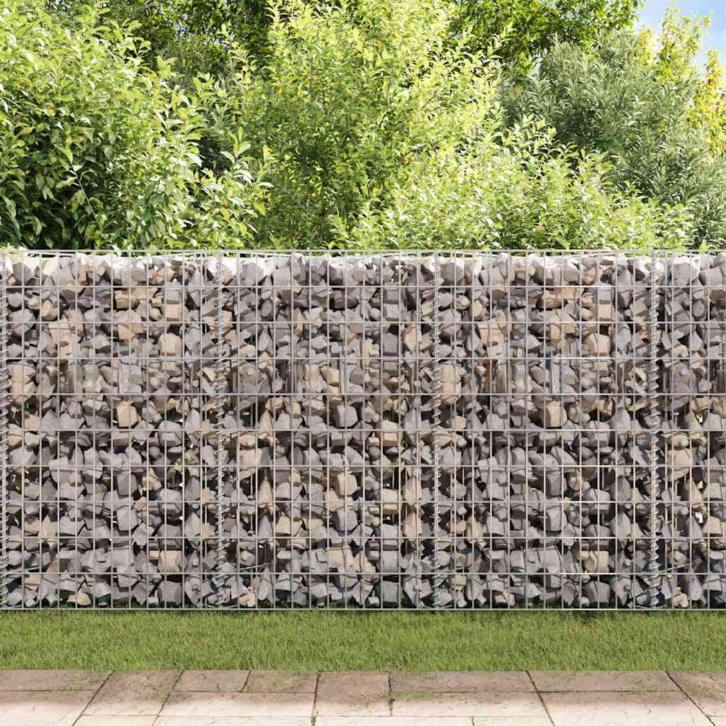 Gabbione in Rete in Acciaio Zincato 120x30x100 cm | homemem39