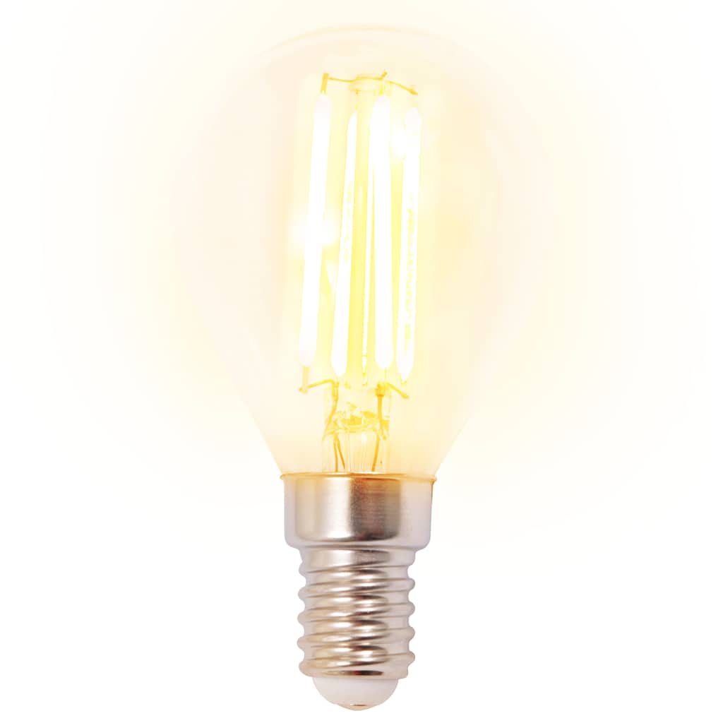 Plafoniera con 2 Lampadine a LED a Incandescenza 8 W - homemem39