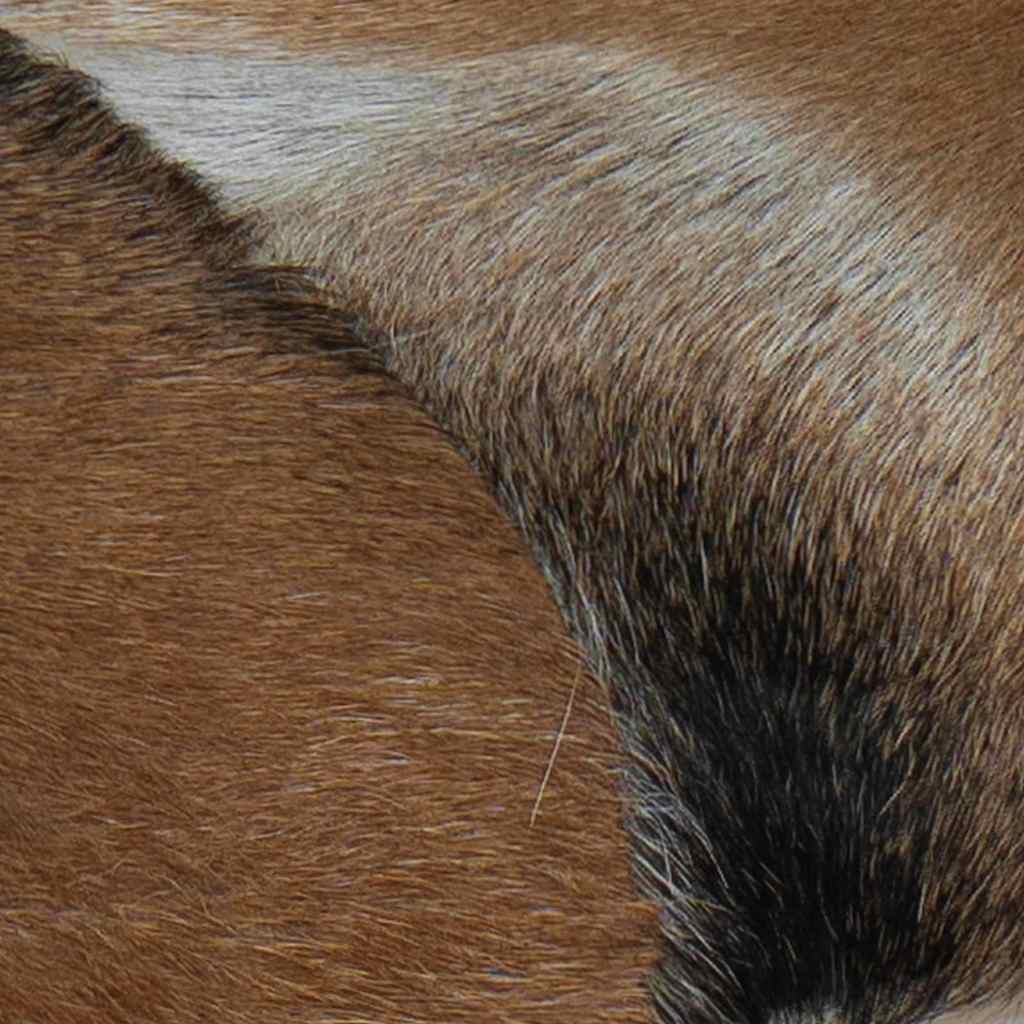 Panca in Pelle di Capra e Teak