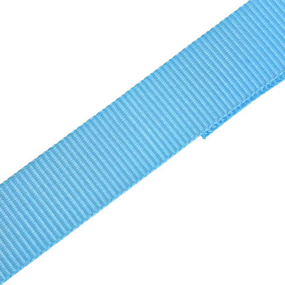 Cinghie d’Ancoraggio 4 pz a Cricchetto 0,8 T 6mx25mm Blu | homemem39