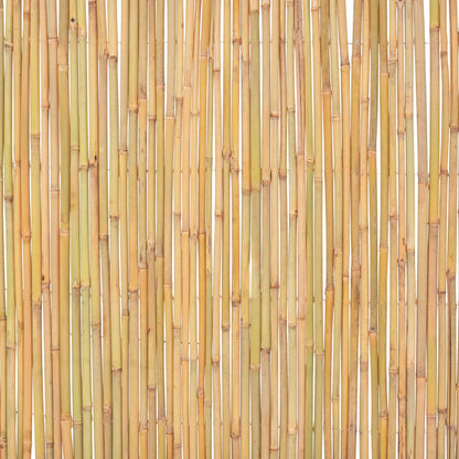 Recinzione in Bambù 300x100 cm | homemem39