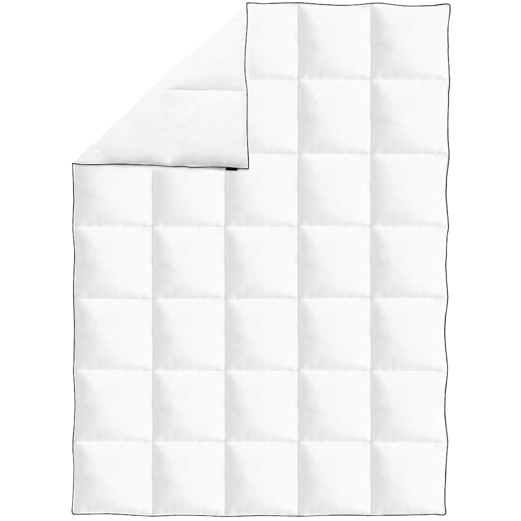 Piumone Invernale Piuma Anatra 150x200 cm