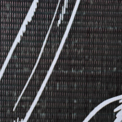 Paravento Pieghevole 200x170 cm Stampa Piume Bianco e Nero