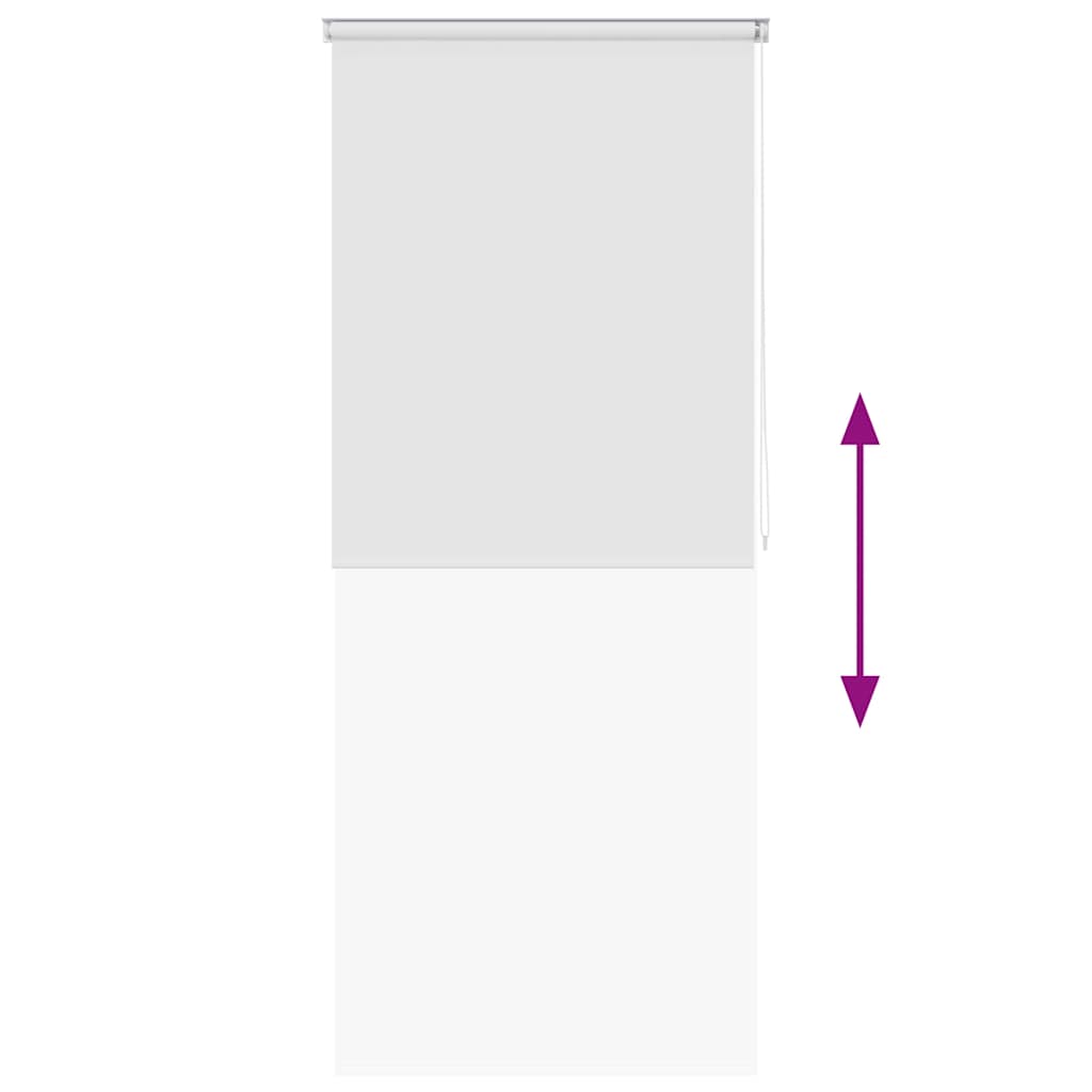 Tenda a Rullo per Doccia 100x240 cm Bianco - homemem39