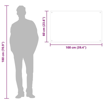 Paraschizzi per Cucina Bianco 100x60 cm in Vetro Temperato - homemem39