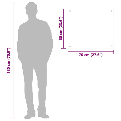 Paraschizzi per Cucina Trasparente 70x60 cm in Vetro Temperato - homemem39