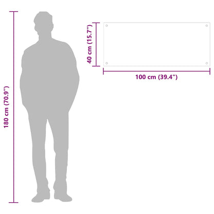 Paraschizzi per Cucina Trasparente 100x40 cm in Vetro Temperato - homemem39