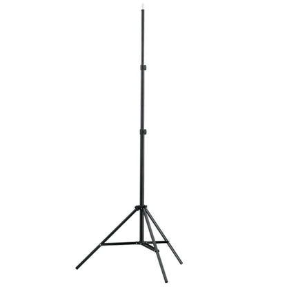 Set Studio Fotografico Fondale Verde 600x300 cm e Luci - homemem39