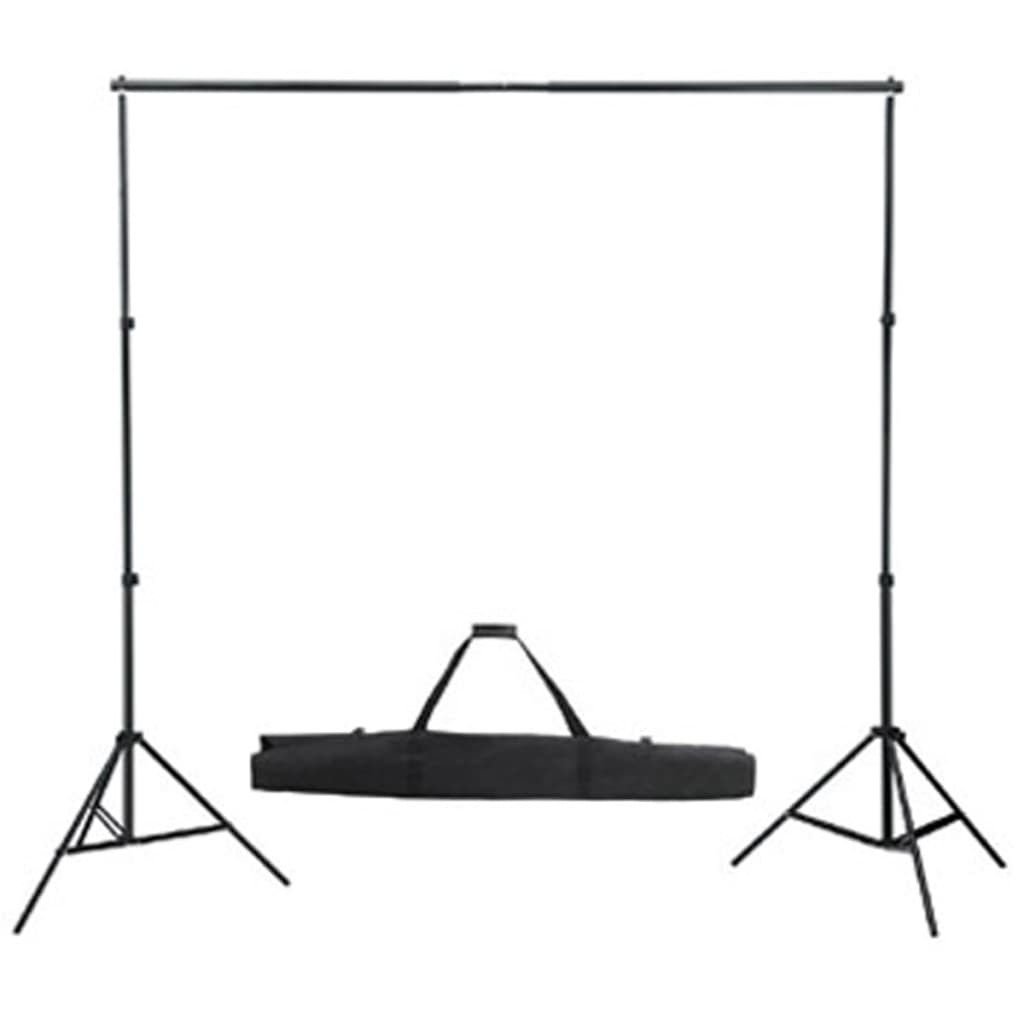 Photographic Studio Set Black Backdrop 600x300 cm and Lights