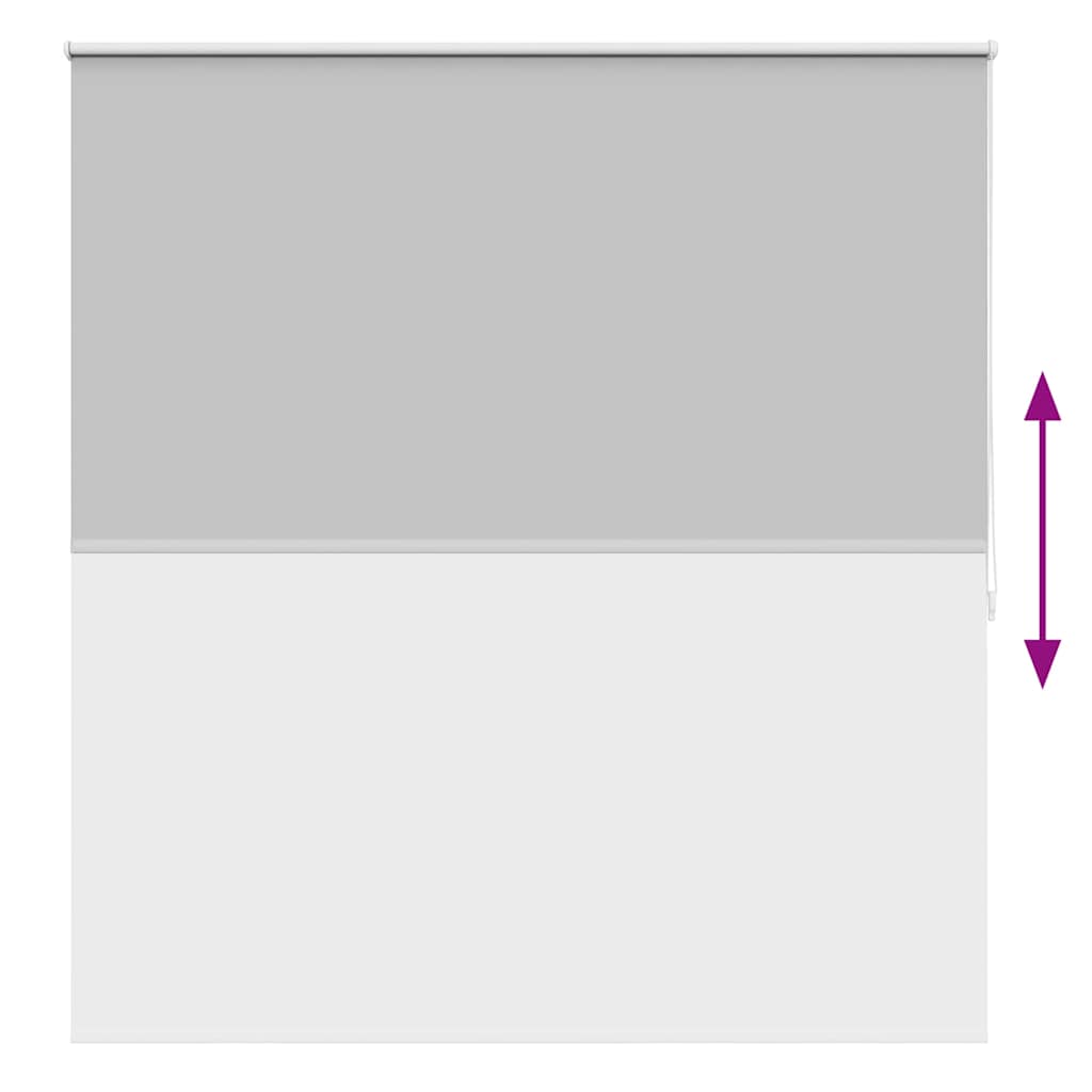 Tenda a Rullo Oscurante 160 x 175 cm Grigio - homemem39