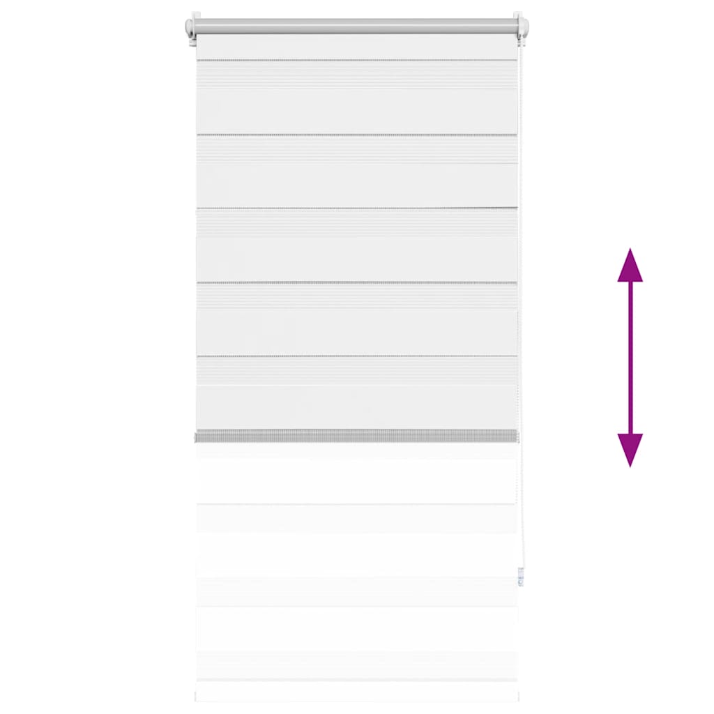 Tenda a rullo oscurante zebra 60x120 bianca - homemem39