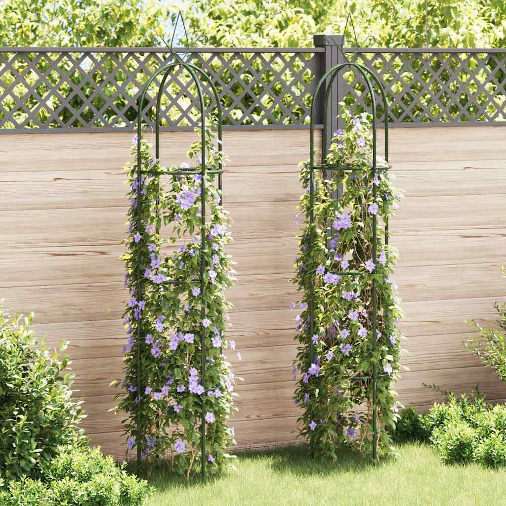 Set Torri ad Arco 2 pz per Piante Rampicanti da Giardino | homemem39